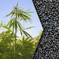 Why are we not using hemp plastic?