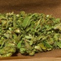 Are hemp wraps healthier than blunt wraps?