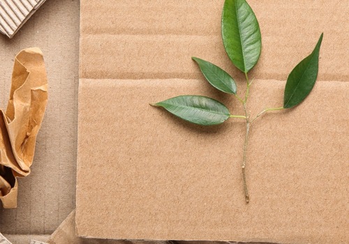Is hemp paper biodegradable?